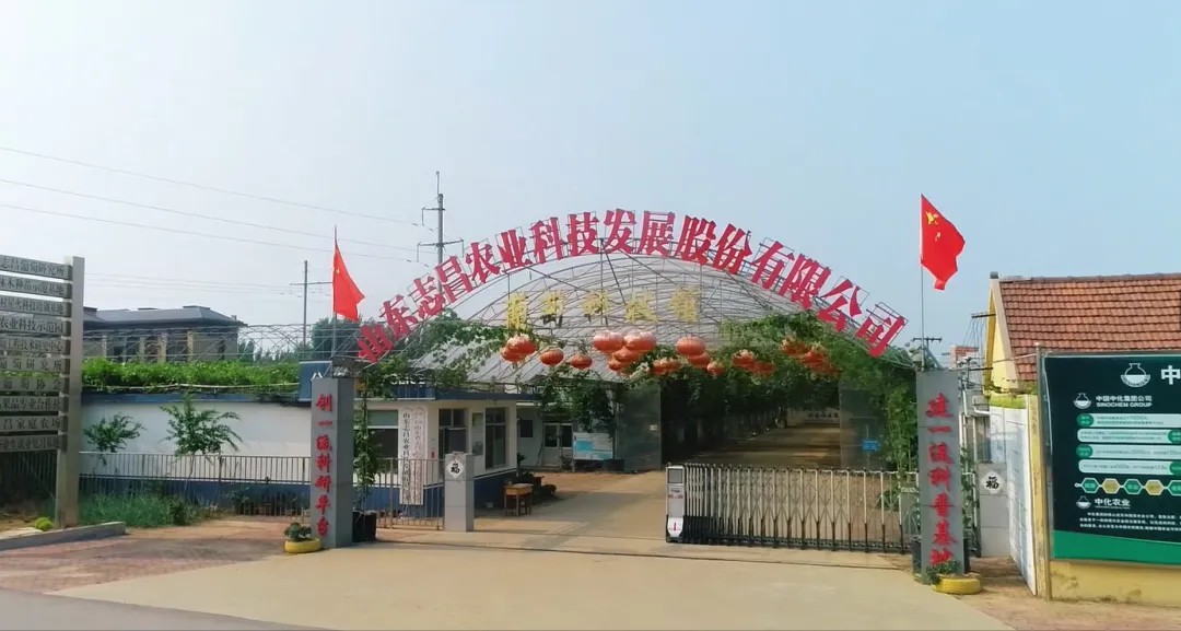 公司.jpg