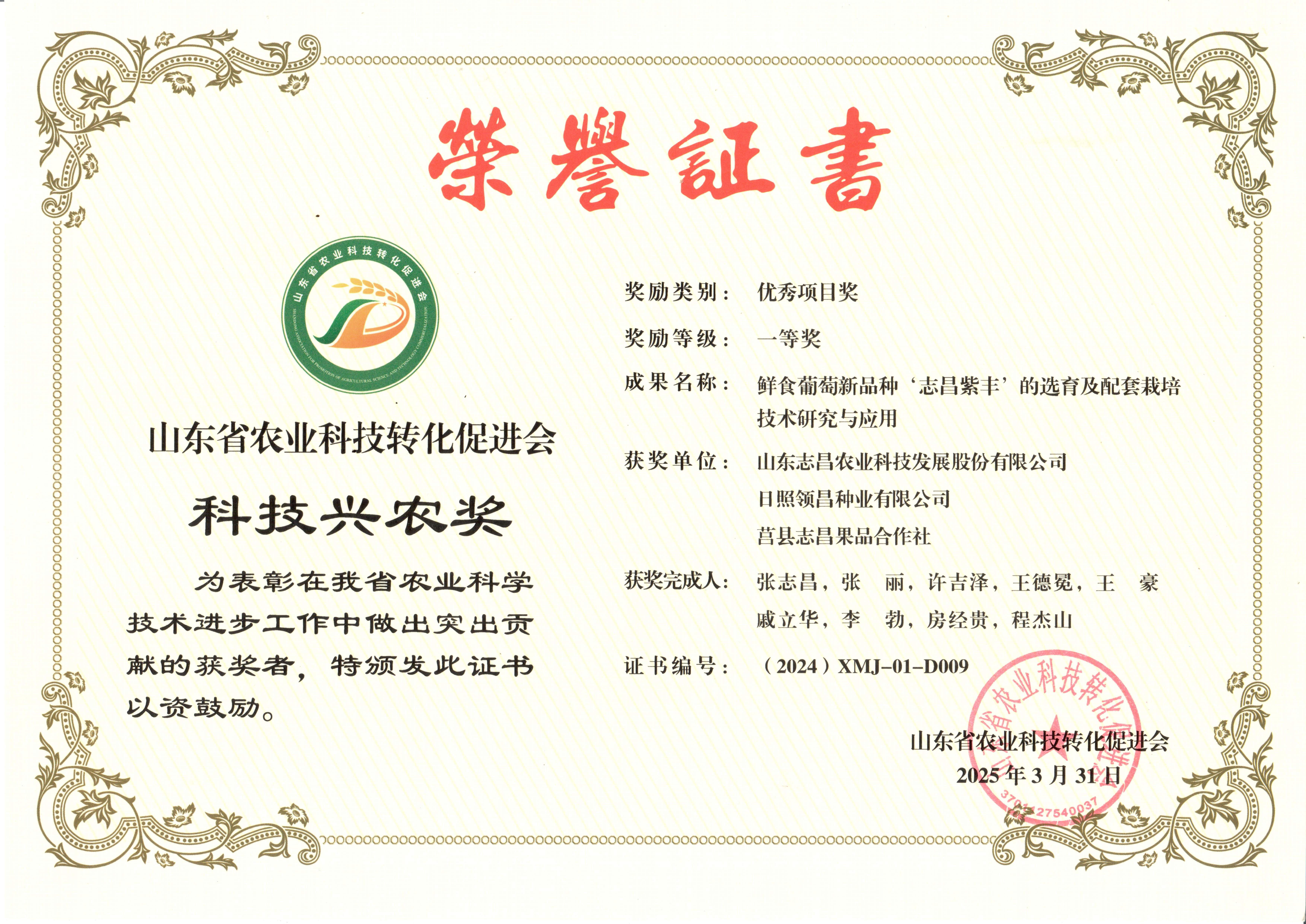 2-證書.jpg