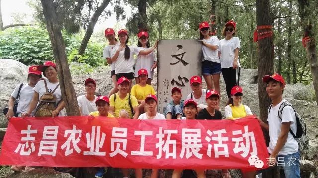 山東志昌農(nóng)業(yè)科技發(fā)展有限公司共青團(tuán)舉辦戶外拓展活動(dòng)(圖1) 山東志昌農(nóng)業(yè)科技發(fā)展有限公司共青團(tuán)舉辦戶外拓展活動(dòng)(圖1)