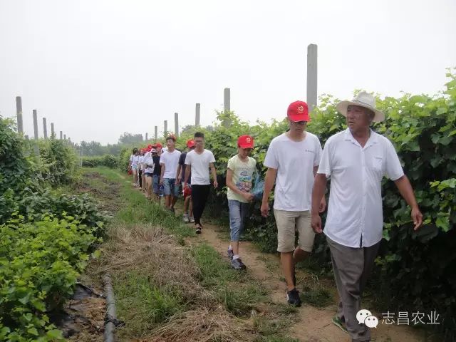 山東志昌農(nóng)業(yè)科技發(fā)展有限公司共青團(tuán)舉辦戶外拓展活動(dòng)(圖6) 山東志昌農(nóng)業(yè)科技發(fā)展有限公司共青團(tuán)舉辦戶外拓展活動(dòng)(圖6)