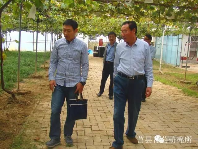 山東省民政廳到莒縣葡萄研究所調(diào)研指導(dǎo)工作(圖2) 山東省民政廳到莒縣葡萄研究所調(diào)研指導(dǎo)工作(圖2)