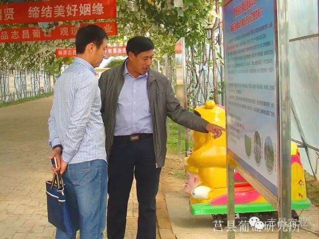 山東省民政廳到莒縣葡萄研究所調(diào)研指導(dǎo)工作(圖3) 山東省民政廳到莒縣葡萄研究所調(diào)研指導(dǎo)工作(圖3)