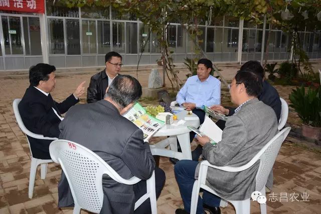 山東省供銷社領(lǐng)導(dǎo)到莒縣志昌果品專業(yè)合作社調(diào)研指導(dǎo)工作(圖2) 山東省供銷社領(lǐng)導(dǎo)到莒縣志昌果品專業(yè)合作社調(diào)研指導(dǎo)工作(圖2)