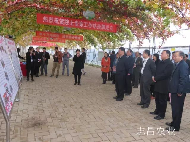 匯聚巾幗力量 助力精準(zhǔn)扶貧 --全市行業(yè)社會(huì)扶貧現(xiàn)場會(huì)在公司召開(圖1) 匯聚巾幗力量 助力精準(zhǔn)扶貧 --全市行業(yè)社會(huì)扶貧現(xiàn)場會(huì)在公司召開(圖1)