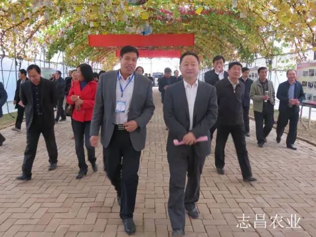 匯聚巾幗力量 助力精準(zhǔn)扶貧 --全市行業(yè)社會(huì)扶貧現(xiàn)場會(huì)在公司召開(圖5) 匯聚巾幗力量 助力精準(zhǔn)扶貧 --全市行業(yè)社會(huì)扶貧現(xiàn)場會(huì)在公司召開(圖5)