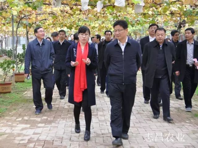 匯聚巾幗力量 助力精準(zhǔn)扶貧 --全市行業(yè)社會(huì)扶貧現(xiàn)場會(huì)在公司召開(圖2) 匯聚巾幗力量 助力精準(zhǔn)扶貧 --全市行業(yè)社會(huì)扶貧現(xiàn)場會(huì)在公司召開(圖2)