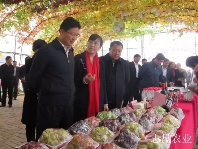 匯聚巾幗力量 助力精準(zhǔn)扶貧 --全市行業(yè)社會(huì)扶貧現(xiàn)場會(huì)在公司召開(圖3) 匯聚巾幗力量 助力精準(zhǔn)扶貧 --全市行業(yè)社會(huì)扶貧現(xiàn)場會(huì)在公司召開(圖3)