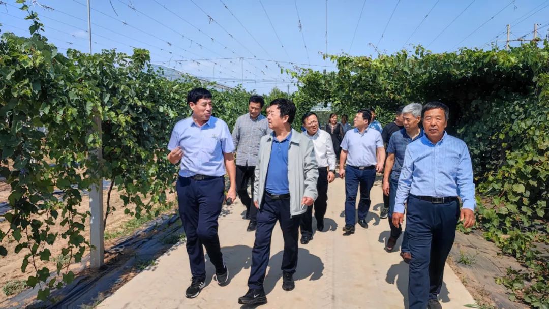 市老科學(xué)技術(shù)工作者協(xié)會(huì)調(diào)研組到志昌農(nóng)業(yè)調(diào)研工作(圖2) 市老科學(xué)技術(shù)工作者協(xié)會(huì)調(diào)研組到志昌農(nóng)業(yè)調(diào)研工作(圖2)