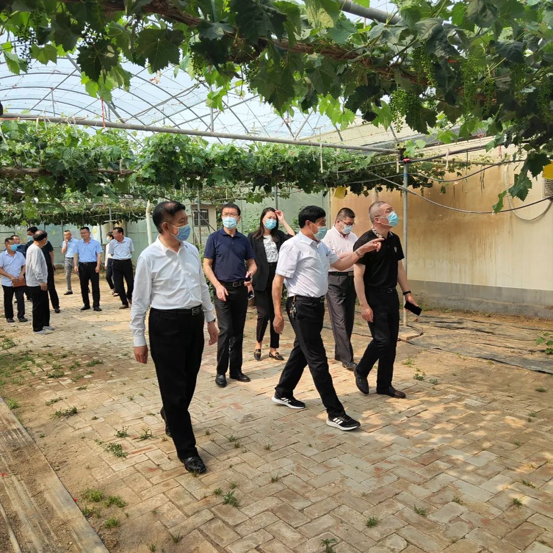 創(chuàng)新驅(qū)動(dòng)添活力，助力企業(yè)上臺(tái)階——市科協(xié)調(diào)研組到志昌農(nóng)業(yè)調(diào)研創(chuàng)新驅(qū)動(dòng)發(fā)展情況(圖1)