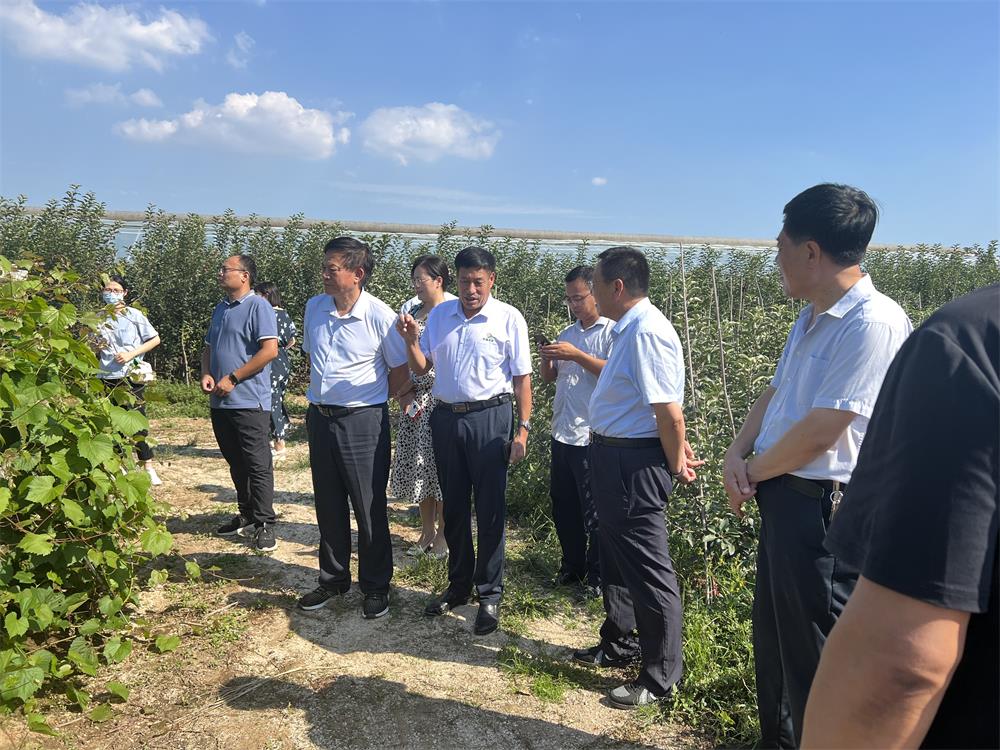 “砧木抗性評價與區(qū)域適應性調(diào)查咨詢會”成功召開(圖4) “砧木抗性評價與區(qū)域適應性調(diào)查咨詢會”成功召開(圖4)