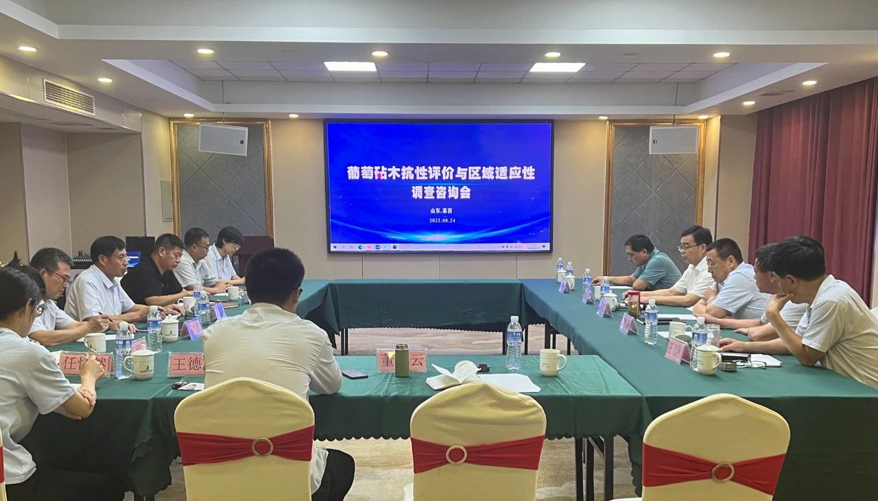 “砧木抗性評價與區(qū)域適應性調(diào)查咨詢會”成功召開(圖1) “砧木抗性評價與區(qū)域適應性調(diào)查咨詢會”成功召開(圖1)